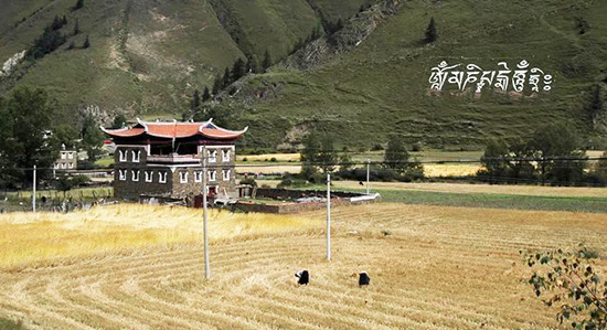 Cycle from Chengdu to Lhasa, Scenery while Cycle to Lhasa.