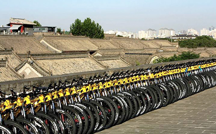 Bike Tour in Xian, Cycle Holiday Xian, Cycling the City Wall of Xi'an