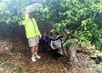 The downpour blocked our cycling so we had to find a shelter, luckily we found some plastic sheet in the kumquat orchard. It was an embarrassing but memorable experience with David and Thomas.